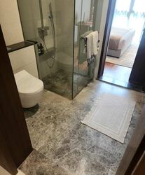 Parksuites (D10), Apartment #482528361